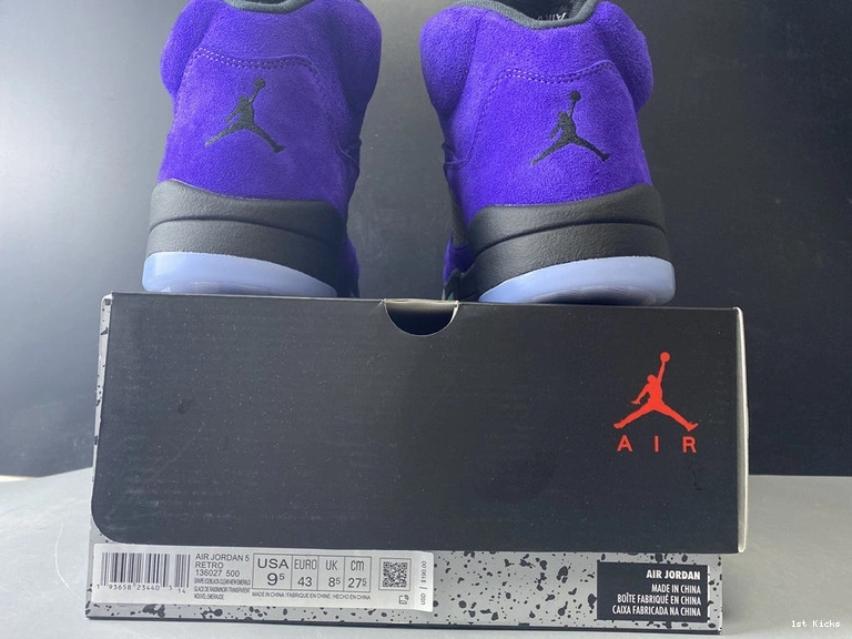 Grape”  Air “Alternate Jordan 5 136027-500 0318
